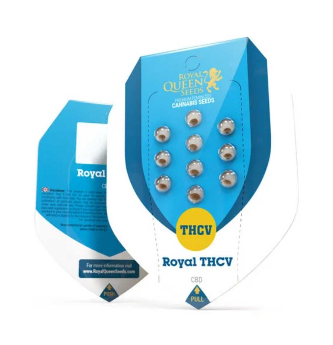 Royal THCV Samenpackung von Royal Queen Seeds in blau-weißer Blisterkarte mit gelbem Logo