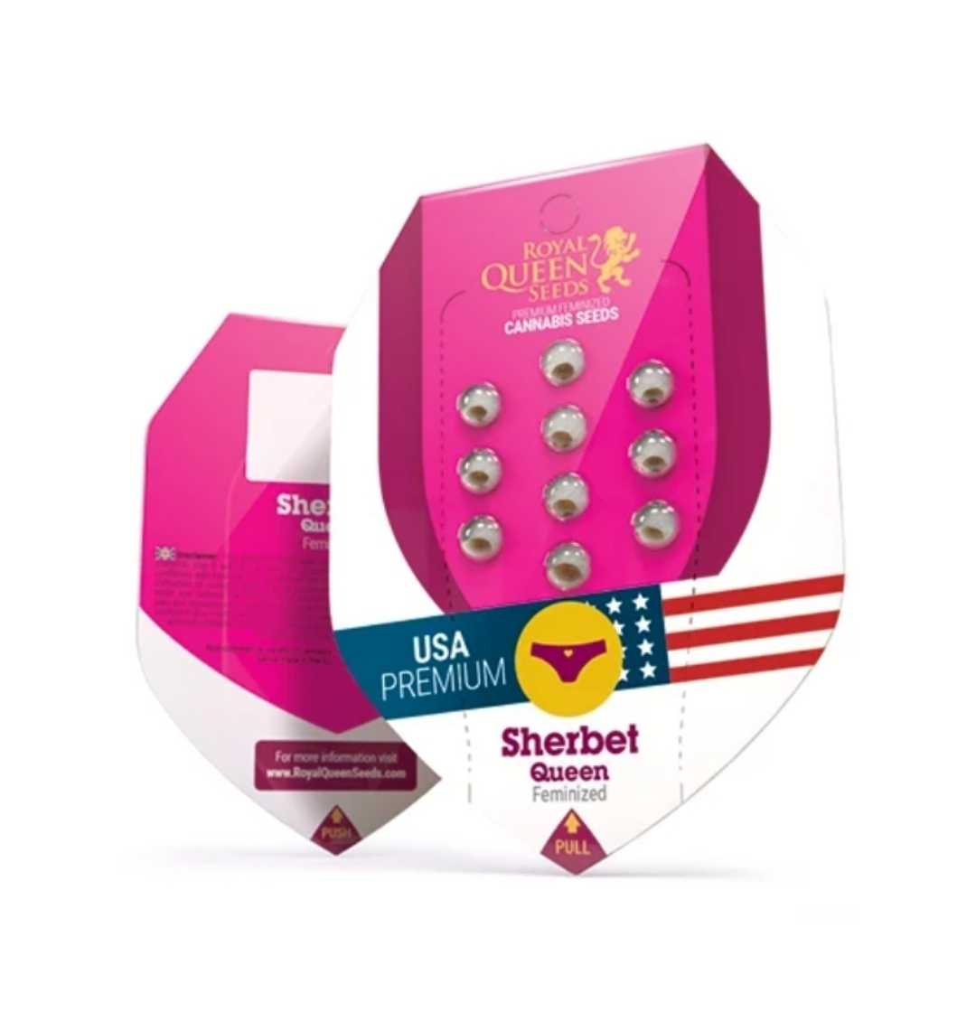Sherbet Queen Samenset in pinkem Royal Queen Seeds Blister mit zehn feminisierten Samen