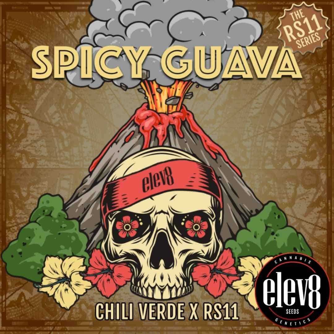 Spicy Guava Artwork mit Totenkopf, Vulkan und Chili Verde x RS11 Hinweis