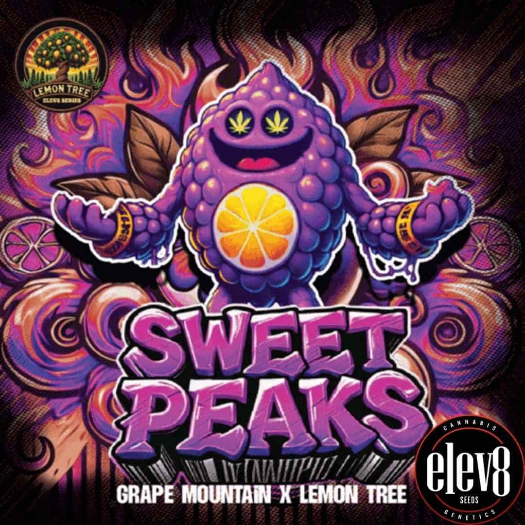 Süßes violettes Maskottchen mit Fruchtmotiv als Branding für die Sorte Sweet Peaks