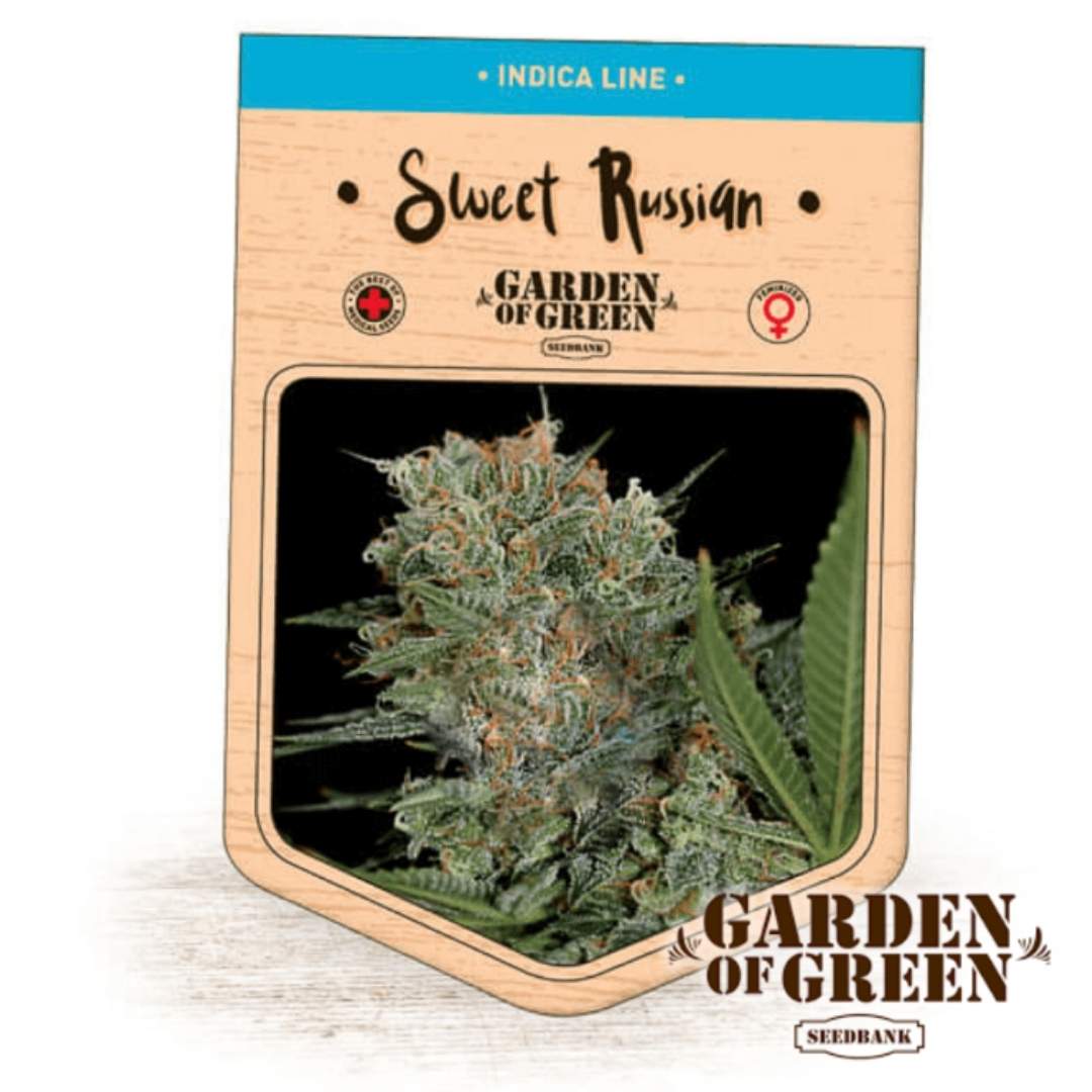 Sweet Russian Blüte auf der Garden of Green Verpackung mit dichten, harzigen Buds und orangefarbenen Fäden