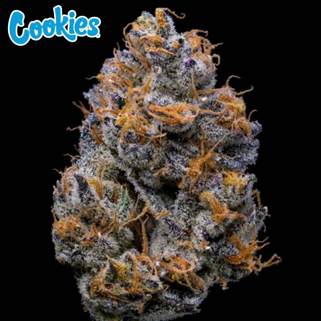 Velvet Cream Cannabis Blüte mit dichten, harzigen Buds und orangefarbenen Härchen, stark mit Trichomen bedeckt