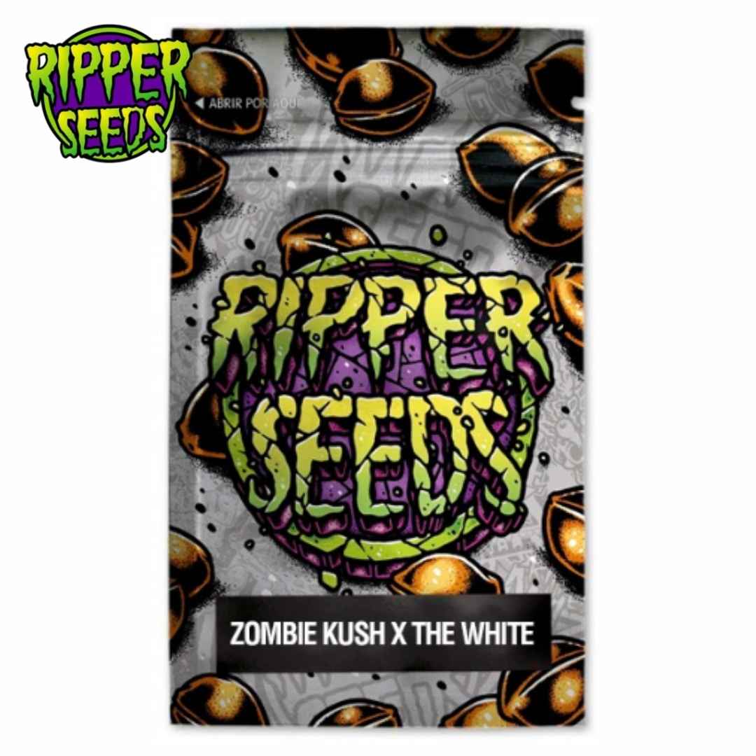 Zombie Kush x The White (Ripper Seeds) Feminisiert