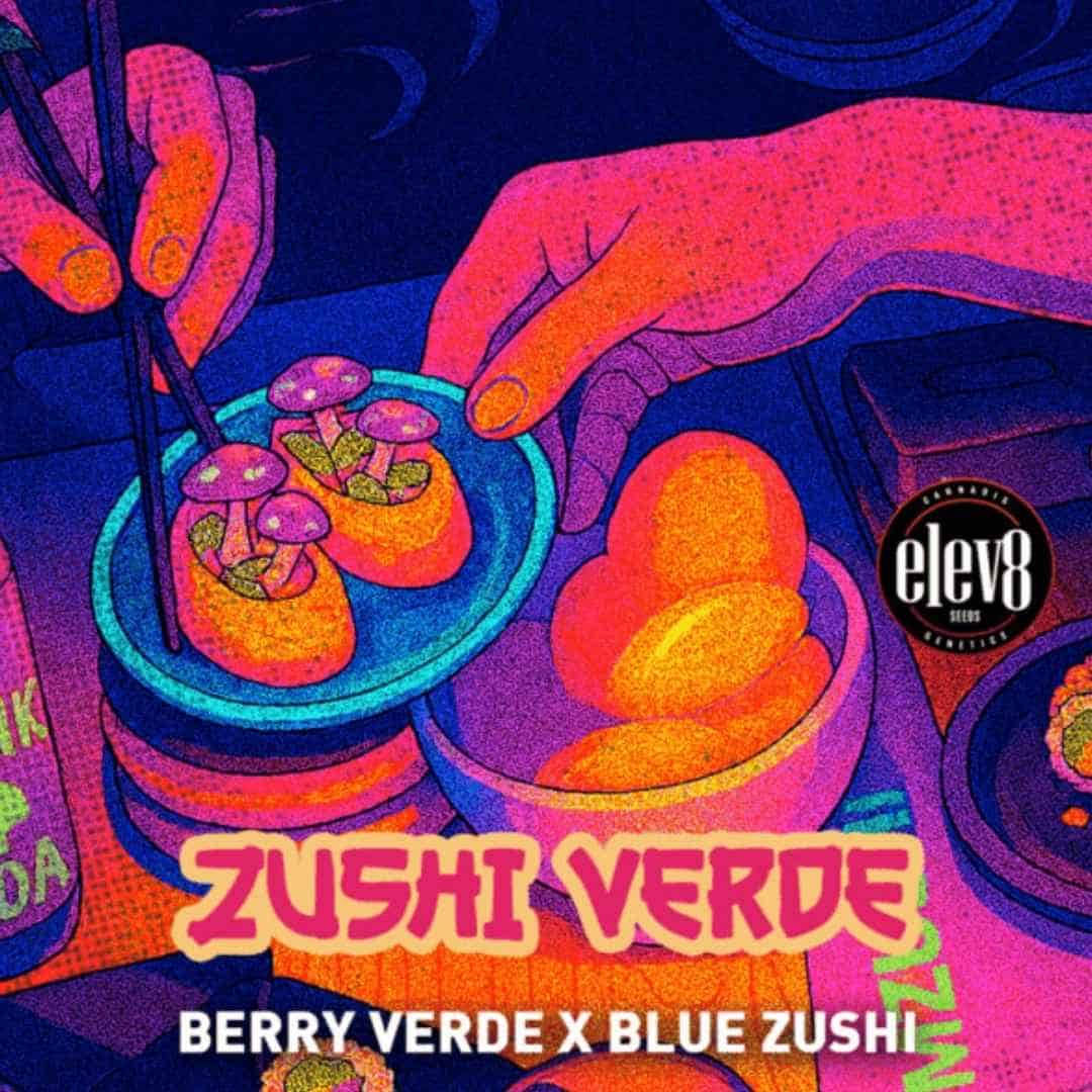 Bunte Illustration zu Zushi Verde mit stilisiertem Sushi und Händen, die farbenfrohe Snacks greifen.