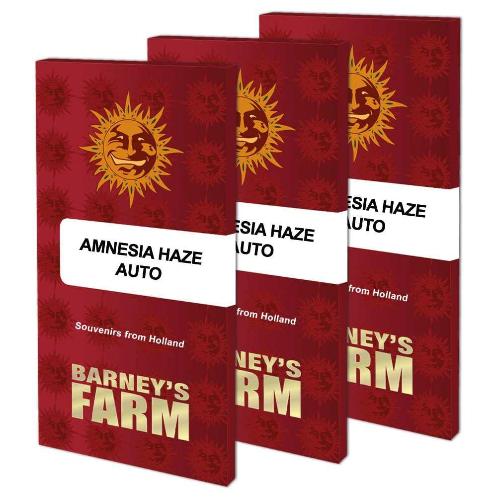 Drei Verpackungen von Amnesia Haze Auto von Barney's Farm mit rotem Design nebeneinander
