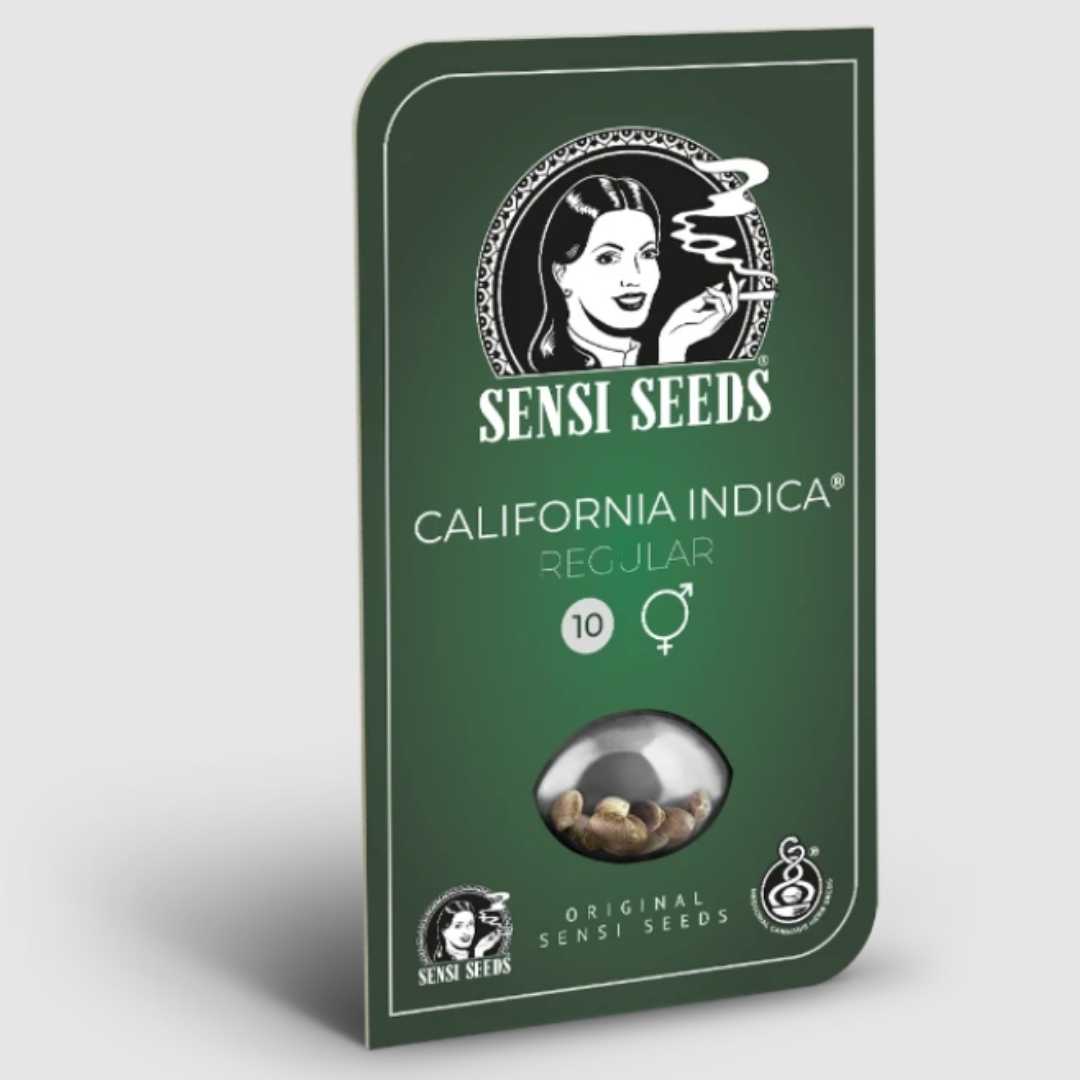 California Indica Regular Samenpackung von Sensi Seeds mit 10 regulären Hanfsamen