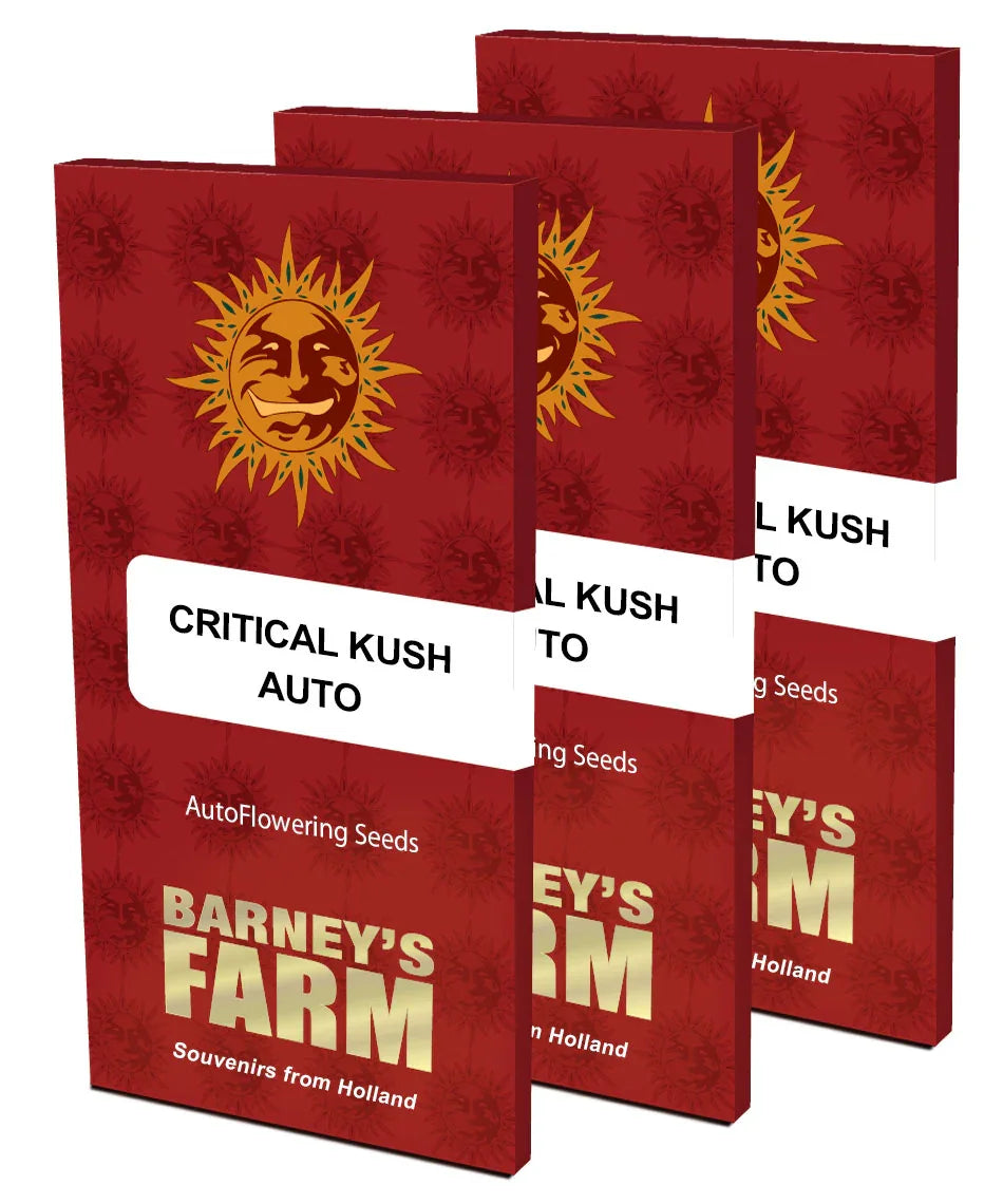 Critical Kush Auto Samenverpackungen von Barney’s Farm im roten Design mit Logo