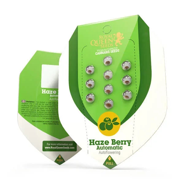 Verpackung von Auto Haze Berry Samen von Royal Queen Seeds mit grünem Design und acht sichtbaren Samen