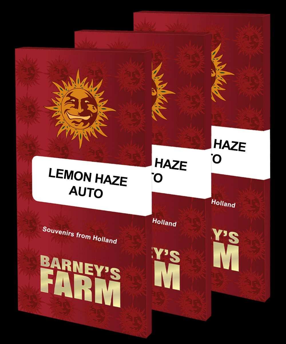 Verpackungen von Lemon Haze Auto Samen von Barney’s Farm mit rotem Design und goldener Sonne als Markenlogo.