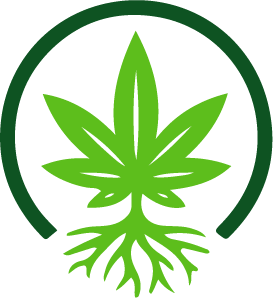 MySeeds.de