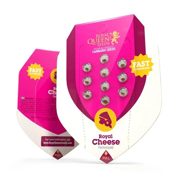 Royal Cheese Samenpackung von Royal Queen Seeds mit 10 feminisierten Samen im pinken Design