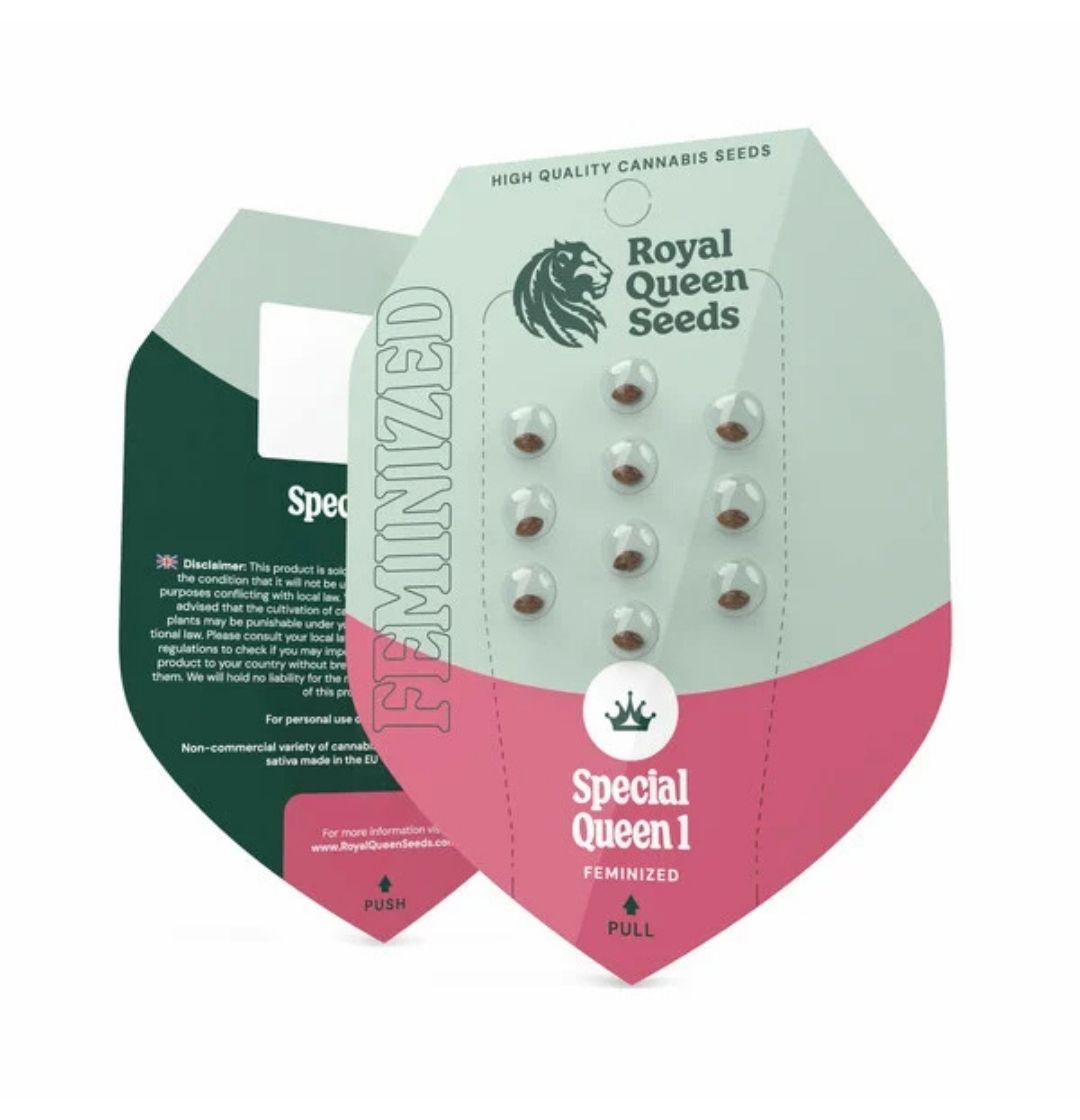 Verpackung der Special Queen 1 Samen von Royal Queen Seeds mit feminisierten Cannabissamen
