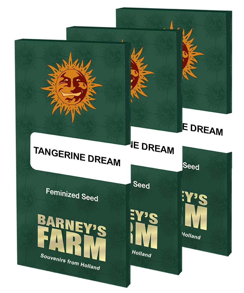 Drei Verpackungen feminisierter Tangerine Dream Samen von Barney’s Farm nebeneinander
