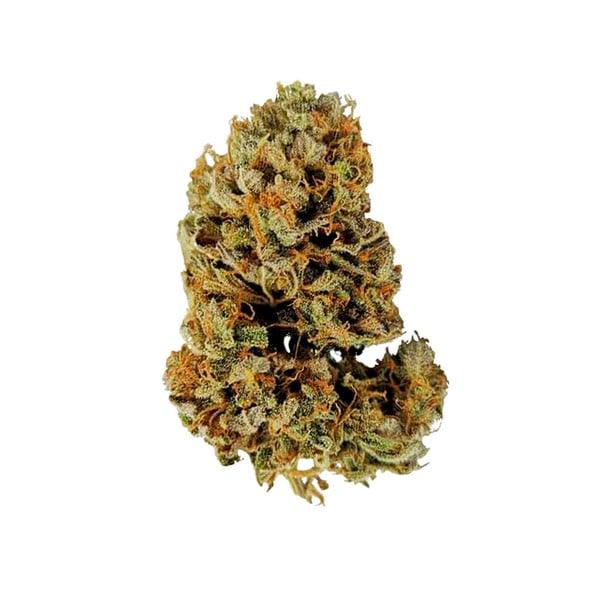 Getrocknete Auto White Widow Knospe mit dichter Struktur und sichtbaren Harzkristallen