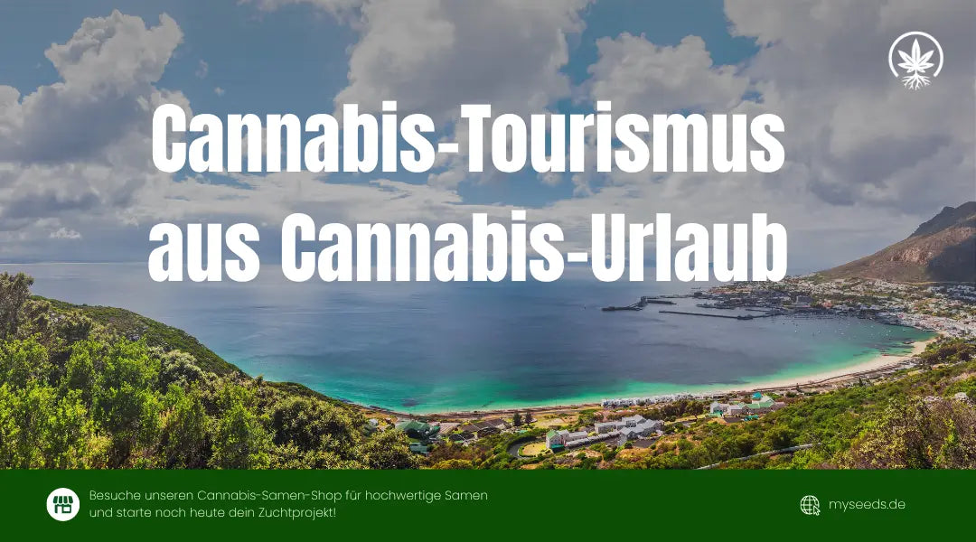 Die besten cannabisfreundlichen Länder für Samenliebhaber und Grower