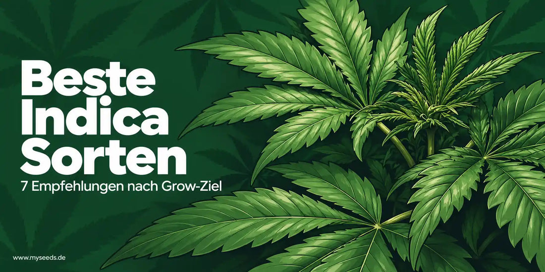 Beste Indica Sorten mit grünen Cannabispflanzen und Hinweis auf 7 Empfehlungen nach Grow-Ziel.