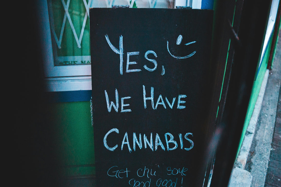 Cannabisanbau ab dem 01.04.2024