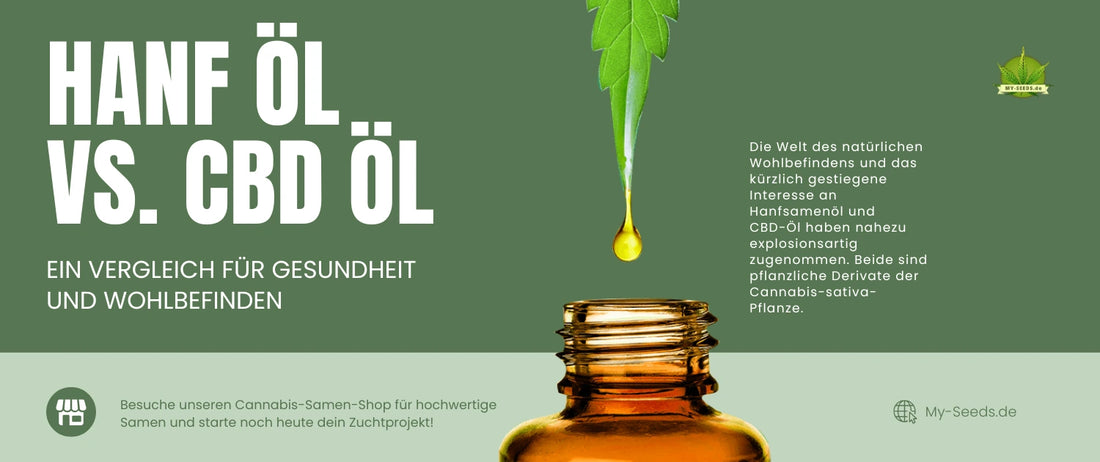  Flasche CBD-Öl