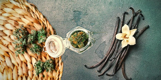 Moby Dick Cannabis: Dein ultimativer Guide zur legendären Sorte