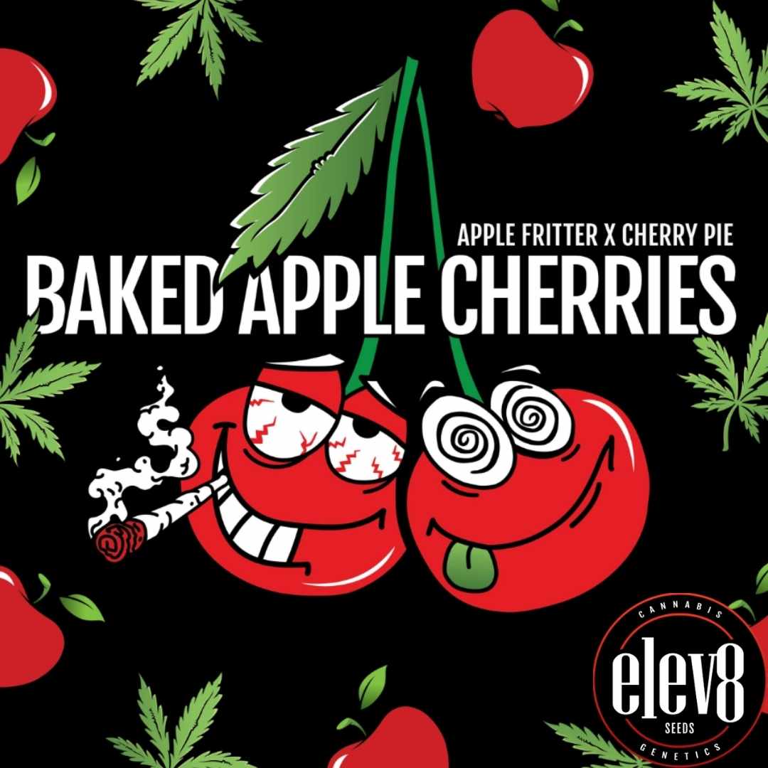 Baked Apple Cherries Grafik mit Apfelmotiven, Cannabisblatt und Elev8 Seeds Branding