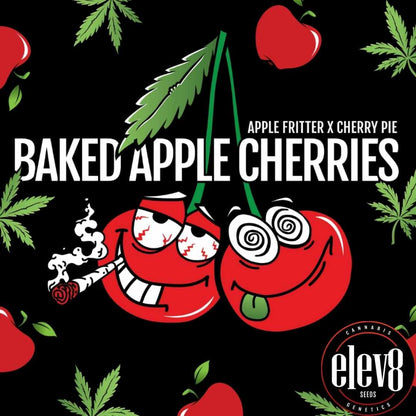 Baked Apple Cherries Grafik mit Apfelmotiven, Cannabisblatt und Elev8 Seeds Branding