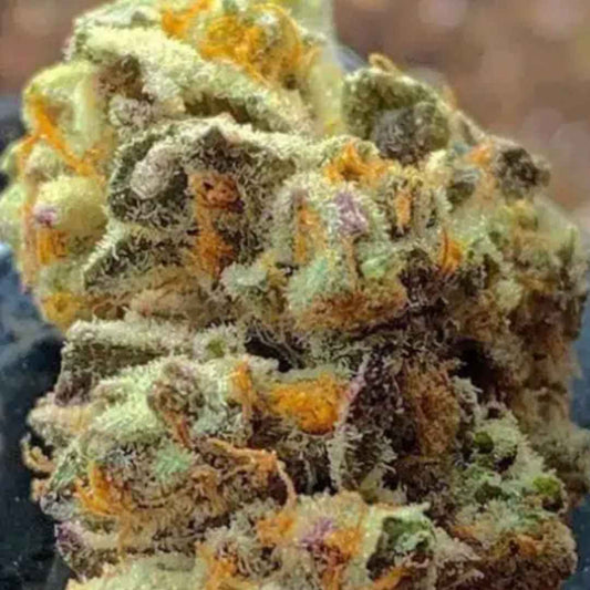 Banana Jelly'Z von ZmoothieZ mit kompakten, stark harzigen Cannabisblüten und kräftigen Zuckerblättern.