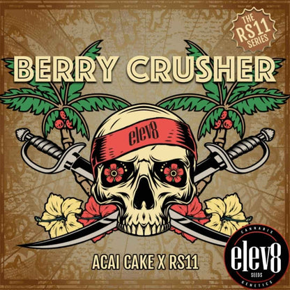 Berry Crusher Artwork mit Totenkopf, Säbeln und Palmen als Elev8 Seeds Motiv