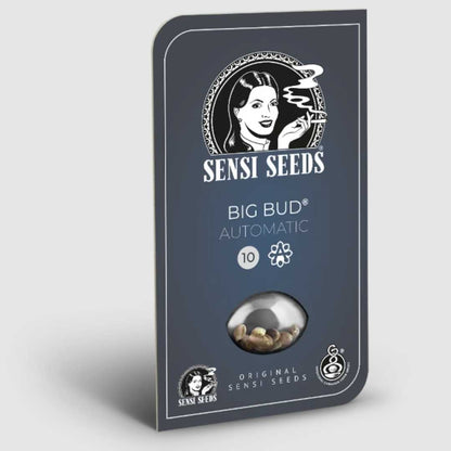 Big Bud Automatic Samenpackung von Sensi Seeds mit Sichtfenster für die Hanfsamen