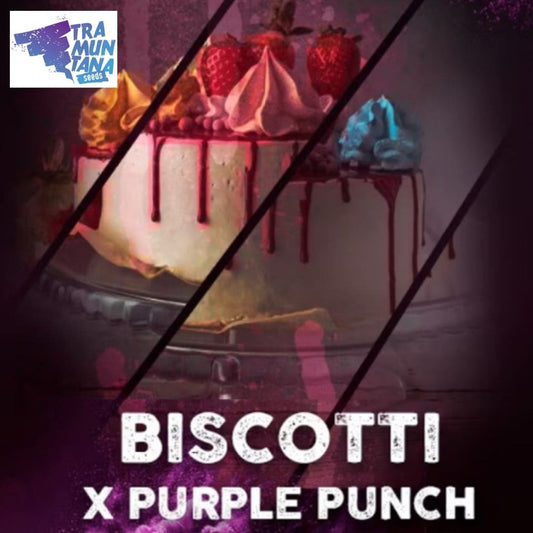 Biscotti Motiv mit dekorierter Torte, Erdbeeren und dem Schriftzug Biscotti x Purple Punch.