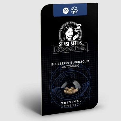 Sensi Seeds Research Verpackung der Blueberry Bubblegum Automatic Samen mit Original Genetics Logo