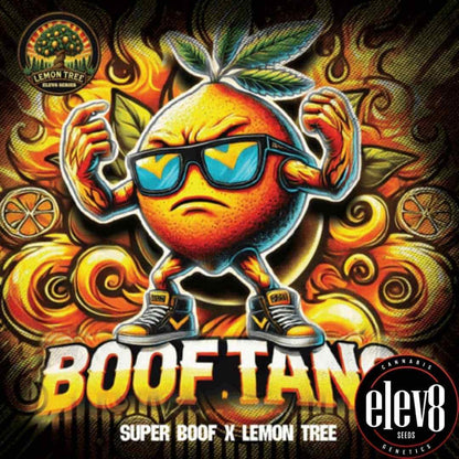 Kräftiges Boof Tang Artwork mit orangefarbener Figur, Sonnenbrille und Cannabisblatt-Details