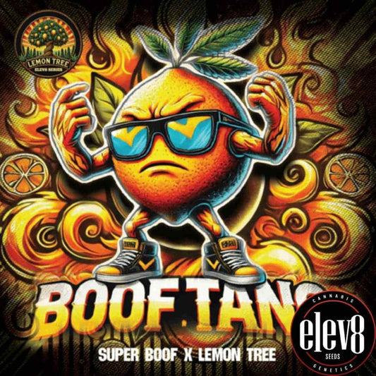 Kräftiges Boof Tang Artwork mit orangefarbener Figur, Sonnenbrille und Cannabisblatt-Details