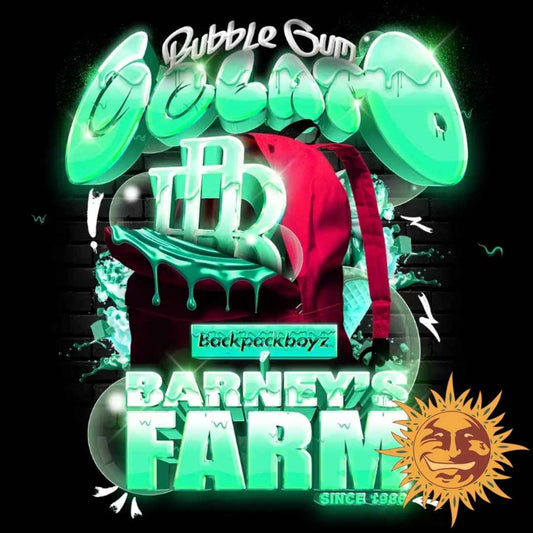 Bubblegum Gelato von Barney's Farm x Backpack Boyz, limitierte Auflage
