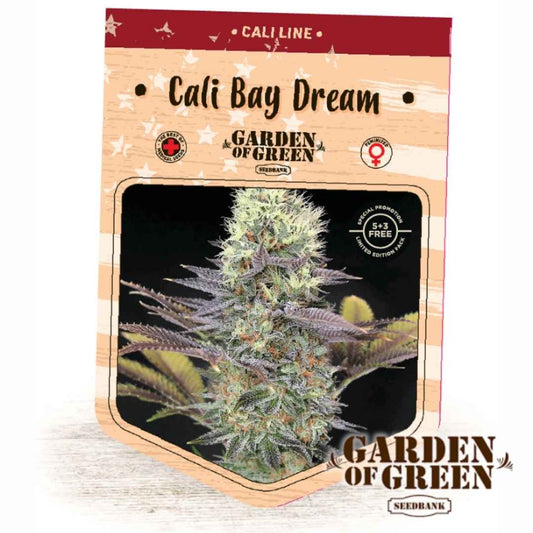 Cali Bay Dream Pack mit harzigem Bud und bunten Blütenfarben