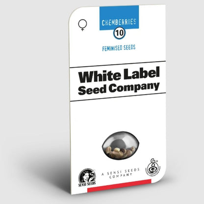 Chemberries Saatgutpackung von White Label Seed Company mit feminisierten Samen