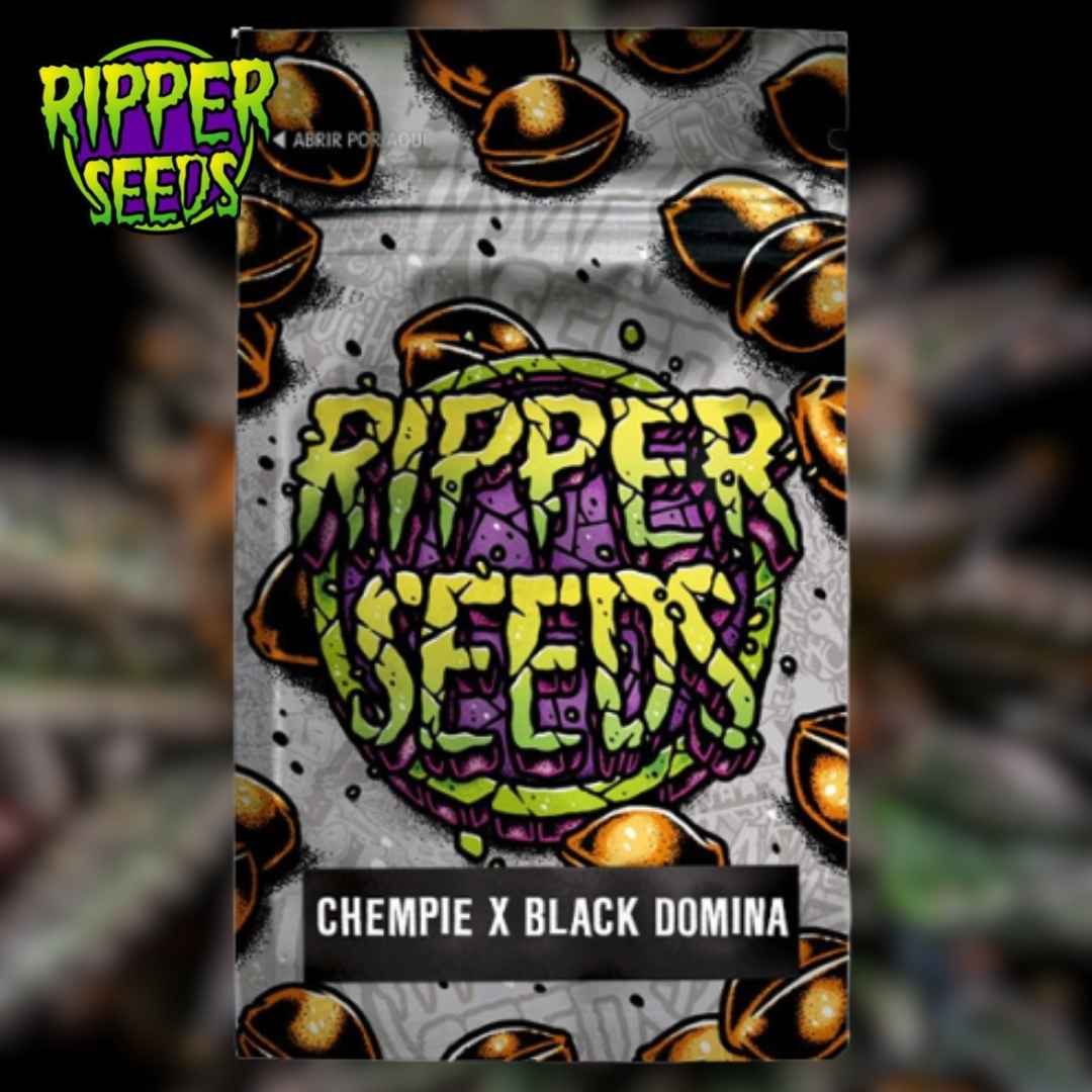 Chempie x Black Domina Samenpackung mit farbigem Ripper-Seeds-Logo und Sortennamen