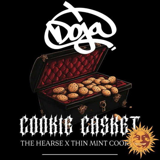 Cookie Casket von Barney's Farm x Doja, Sorte in limitierter Auflage