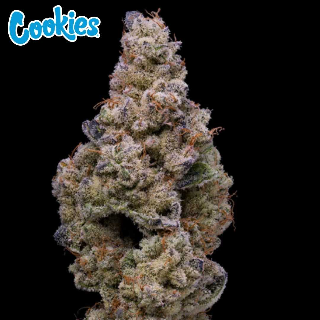 Crispy Sugar Cannabisknospe mit dichten, harzigen Blüten und orangefarbenen Härchen
