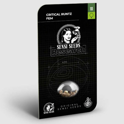 Critical Runtz Sensi Seeds Verpackung mit transparentem Sichtfenster für feminisierte Hanfsamen