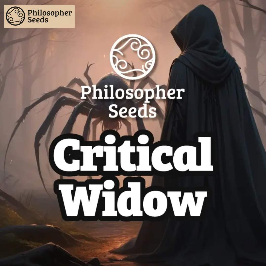 Critical Widow Artwork mit verhüllter Figur und großer Spinne sowie Philosopher Seeds Logo