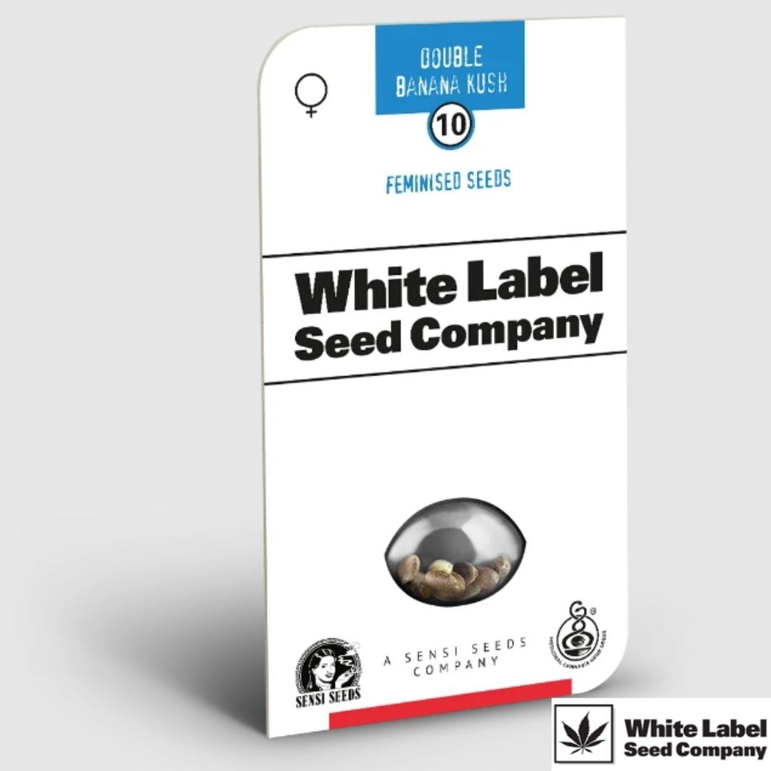 Double Banana Kush Seedpack von White Label mit feminisiertem Cannabissamen