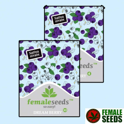 Dream Berry Samenpackung von Female Seeds mit Blaubeer-Design und Sativa Kennzeichnung