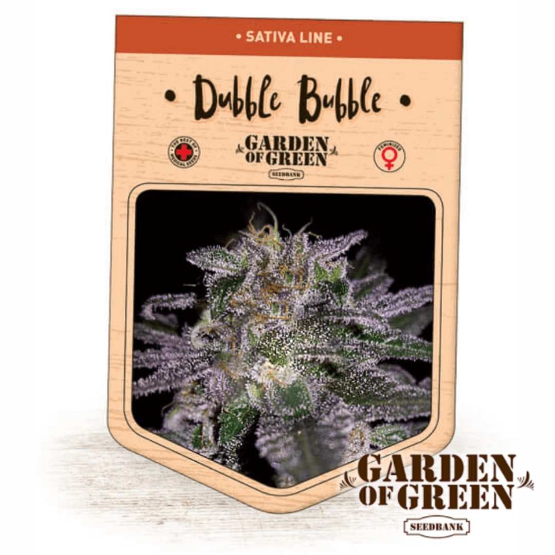 Dubble Bubble Packung mit naher Aufnahme harziger, violettgrüner Blüten