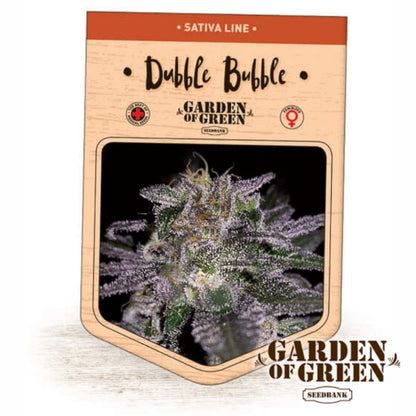 Dubble Bubble Packung mit naher Aufnahme harziger, violettgrüner Blüten