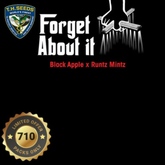 Forget About It Logo mit Genetik Black Apple x Runtz Mintz und Siegel für 710 limitierte Packs