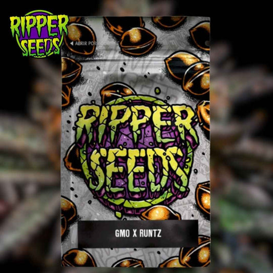 GMO x Runtz Samenverpackung mit farbigem Ripper-Seeds-Logo und Sortennamen auf schwarzem Etikett