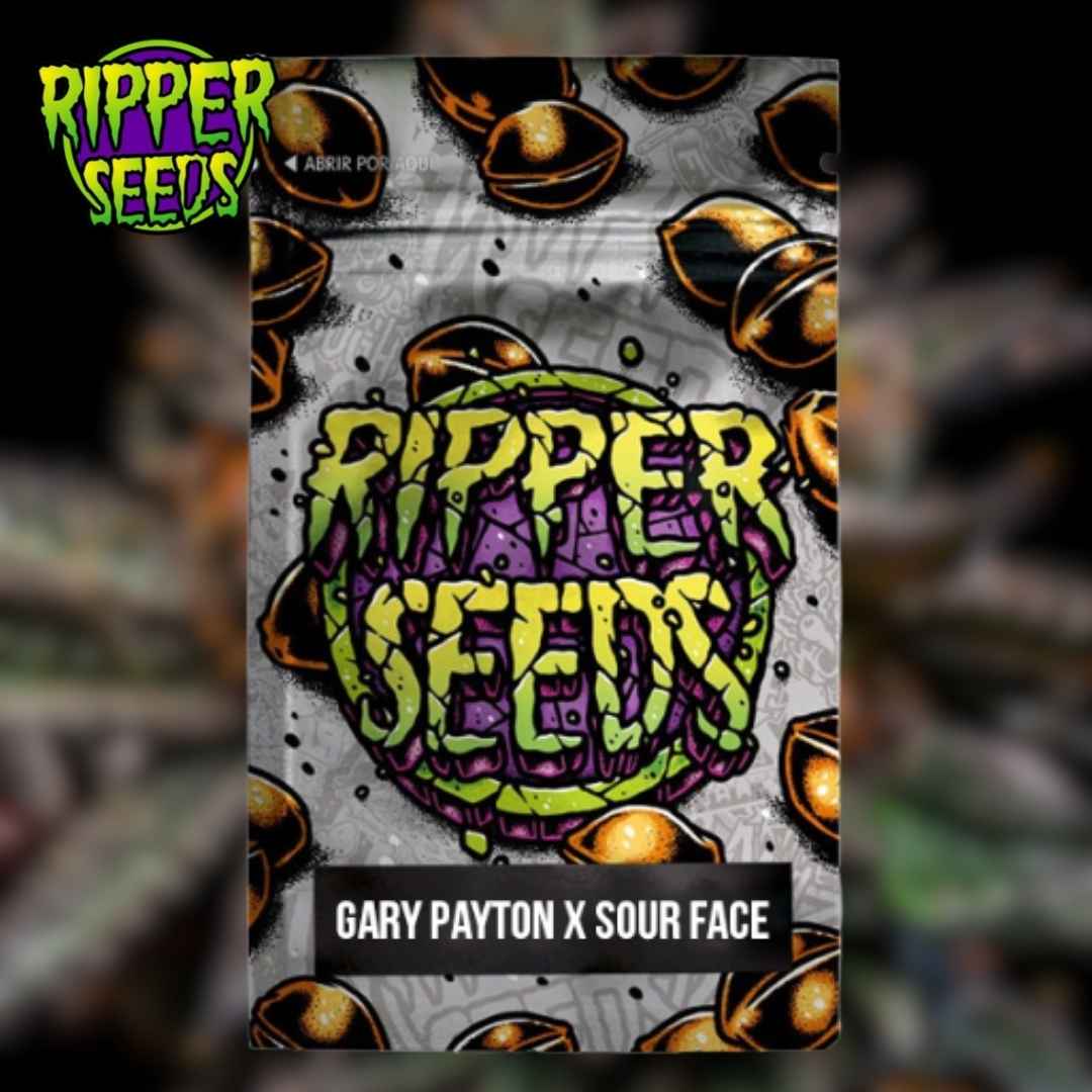 Gary Payton x Sour Face Samenpackung mit farbigem Ripper-Seeds-Graffiti-Schriftzug