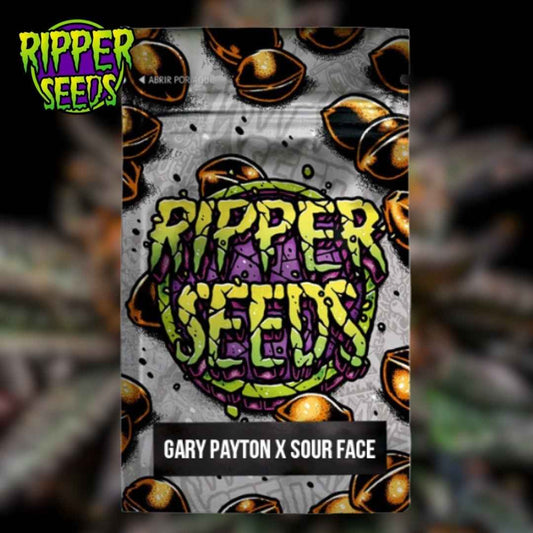 Gary Payton x Sour Face Samenpackung mit farbigem Ripper-Seeds-Graffiti-Schriftzug
