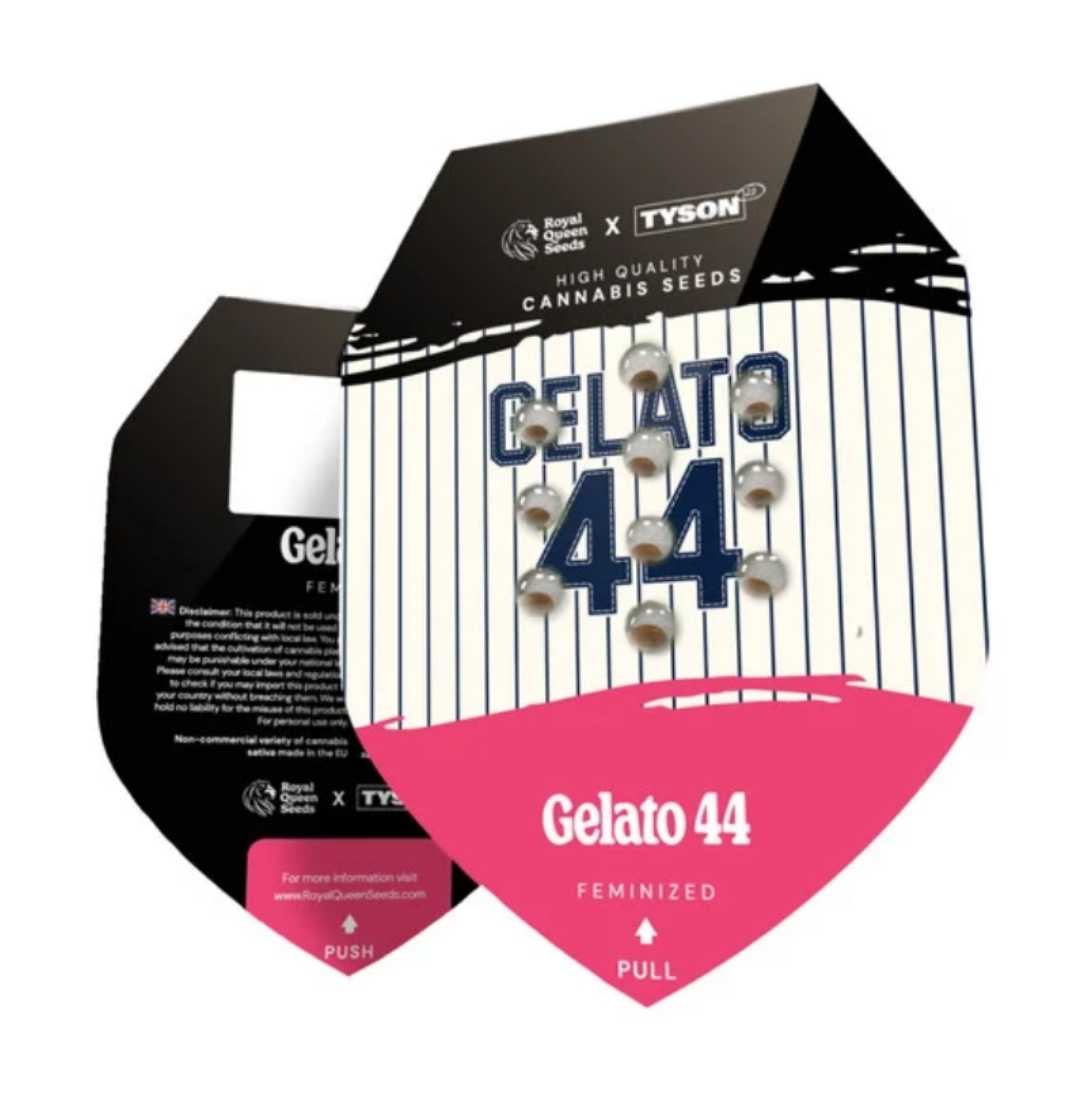 Verpackung von Gelato 44 feminisierten Samen mit blau-weißem Säulen-Design und Logo