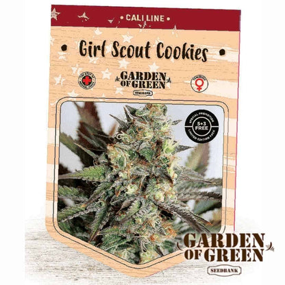 Harzige Girl Scout Cookies Blüte in der Garden of Green Verpackung mit dichten, farbintensiven Buds